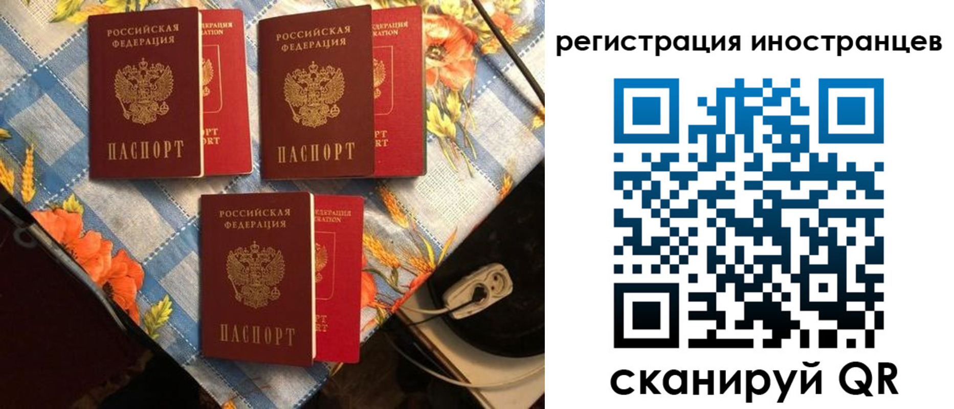 прописка поиск в Кораблино